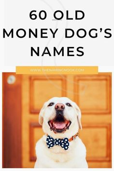 a white dog wearing a bow tie with the words, 60 old money dogs names