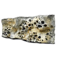 a rock with holes in it on a white background