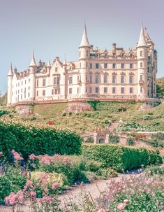 an old castle on top of a hill surrounded by flowers