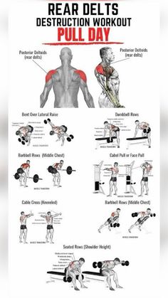 an image of the back and shoulder exercises for people to do in their home gym