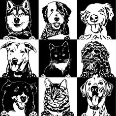 black and white dogs and cats with their faces drawn in squares on the same sheet