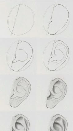 six different types of ear shapes and their corresponding parts are shown in this drawing lesson