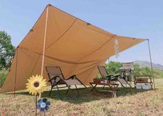 the tent is set up with chairs and a sunflower