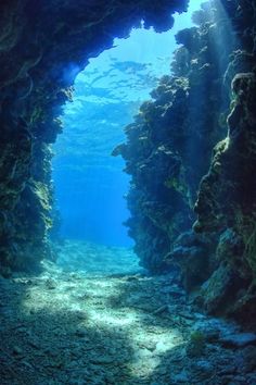 an underwater cave with sunlight streaming through the water's entrance to the sea floor