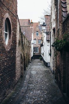 an alley way with brick buildings and cobblestone pavement in the foreground, surrounded by trees