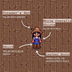 the legend of zelda's hat is shown in this screenshot from an old video game