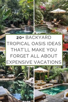 the back yard with tropical oasis ideas that'll make you forget all about expensive vacations