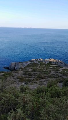 an ocean view with some rocks and plants in the foreground, and blue water on the far side