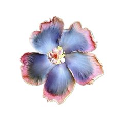 a blue and pink flower is shown on a white background, with the petals slightly open