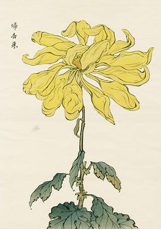 Vintage Japanese Woodblock Prints Chrysanthemum Aesthetic, Wood Block Prints, Illustration Botanique, Chrysanthemum Flower, Japanese Painting