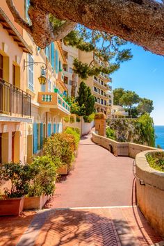 an empty walkway leading to the beach in nice weather, with buildings on either side