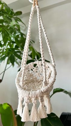 a white macrame hanging from a plant in front of a potted plant