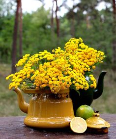 yellow flowers in a teapot and lemons on a wooden table with trees in the background