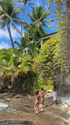 two women in bikinis are standing on the rocks near some palm trees and water