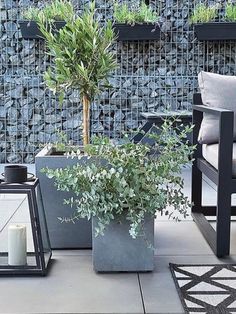 an outdoor patio with potted plants and lanterns