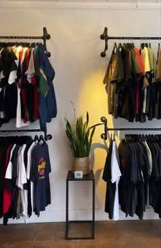 a clothing rack with shirts hanging on it and a potted plant next to it