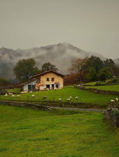 sheep graze in a field near a house on a hill with mountains in the background