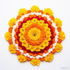 an orange and white flower is arranged in the shape of a circle