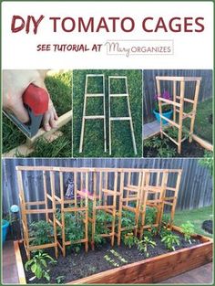 the instructions for how to make an outdoor garden with wooden frames and plants in it