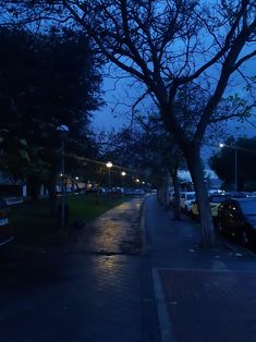 an empty street at night with cars parked on the side and trees lining the sidewalk