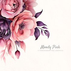 a bouquet of pink flowers on a white background with the words moody pink written below it