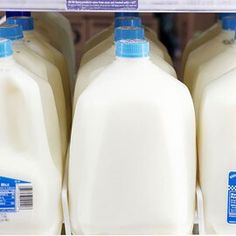 three gallon jugs of milk on display for sale