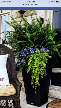 a chair with a pillow on it sitting next to a planter filled with flowers