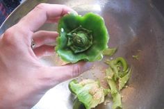 a person holding a green vegetable in their left hand