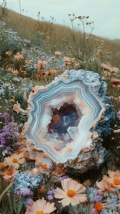 A stunning agate geode resting amidst wildflowers and lush grass on a hill. Soft color palette with natural hues, airy composition. No text! Style: photorealism. Crystals 5-10 cm, hexagonal form.