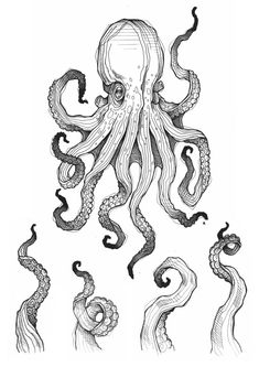 an octopus is drawn in black and white with wavy lines on it's body