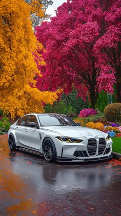 a white car parked in front of trees with red and yellow leaves on the ground