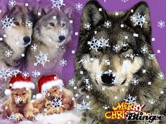 two wolfs and three puppies wearing santa hats with snowflakes on them