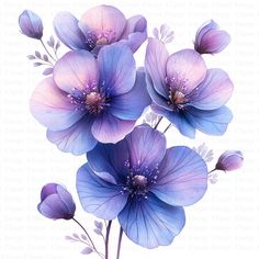 blue and purple flowers on a white background with watermarked text below the image