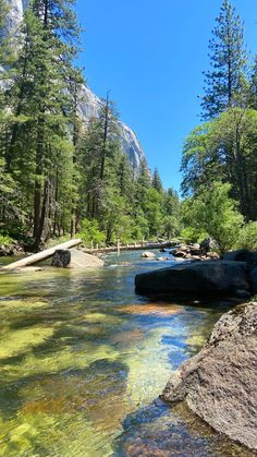 a river running through a lush green forest