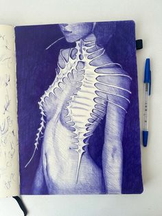 an open notebook with a drawing of a woman's back and ribs on it