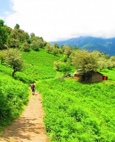 two people walking down a dirt path in the middle of a lush green hillside area