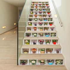 the stairs are decorated with flower pots and plants