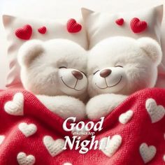 two white teddy bears hugging under a red blanket with hearts, with goodnight wishes. Bears Cuddling, Good Night Teddy Bear, Good Morning Wishes Love, Goodnight Images, Goodnight Quotes, Red Blanket, Night Blessings