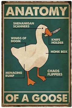 an anatomy of a goose poster