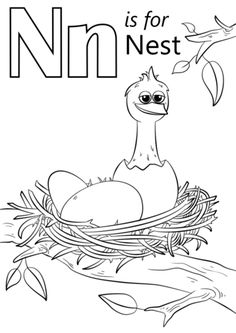 the letter n is for nest coloring page with an image of a bird and eggs