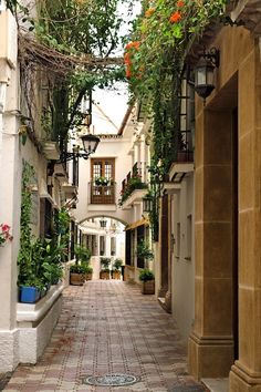 an alley way with potted plants and flowers hanging from the buildings on either side