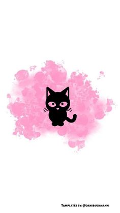 a black cat sitting on top of a pink spot