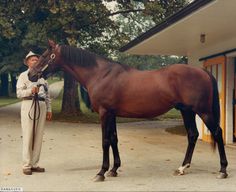 a man standing next to a brown horse