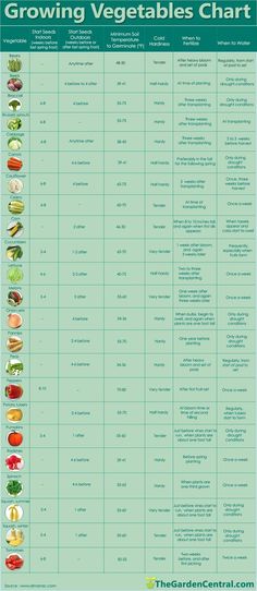 a poster showing the different types of vegetables and their names in english, french, and spanish