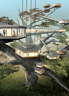 a tree house with people standing on the top and stairs going up to it's roof