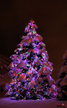 a lit christmas tree in the middle of a snow covered yard at night with colorful lights