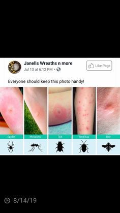 an instagramt with pictures of bugs and ticks on the bottom right hand corner