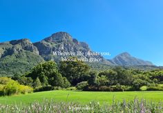 a field with mountains in the background and a quote about where life plants you, bloom with grace