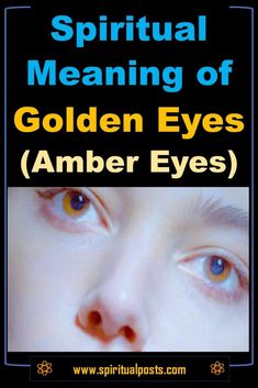 Eye Color Spiritual Meaning, Blue Eyes Spiritual Meaning, Golden Amber Eyes, Eyes Spiritual, Amber Eyes Color, Spiritual Eye, Eye Symbolism, Eye Facts, Spiritual Eyes