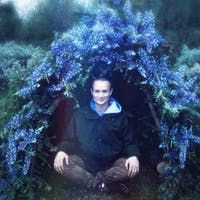 a man sitting in the middle of blue flowers